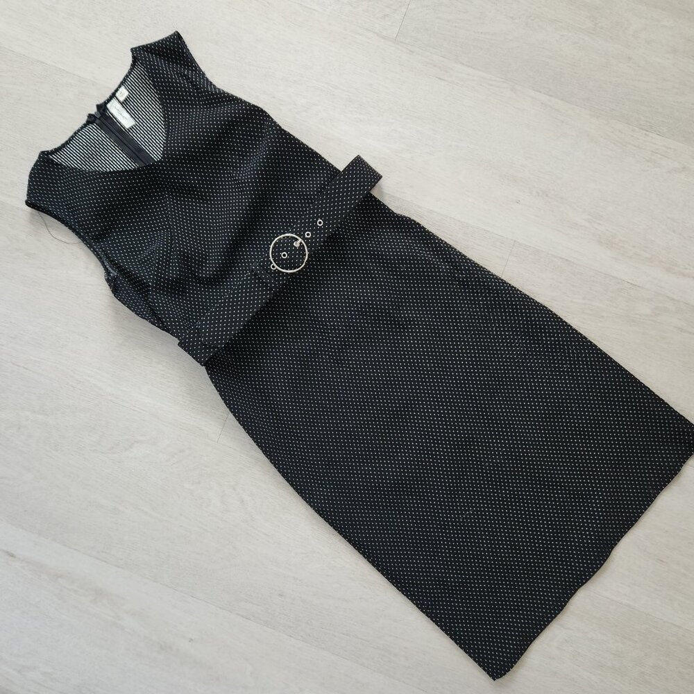 Black Dress and White Swiss Dot Belted